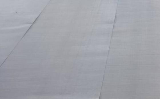 Stainless Steel Güvenlik Fly Screen Mesh Plain Weave & Powder Coating ile