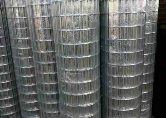 Elektrikli Galvanizli 100 X 50 Kaynaklı Mesh Parlak Renk ve Pürüzsüz Yüzey